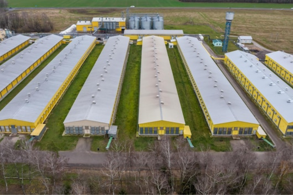 Industrial Property for Sale in Noida – Best Investment Opportunities in Ecotech-11